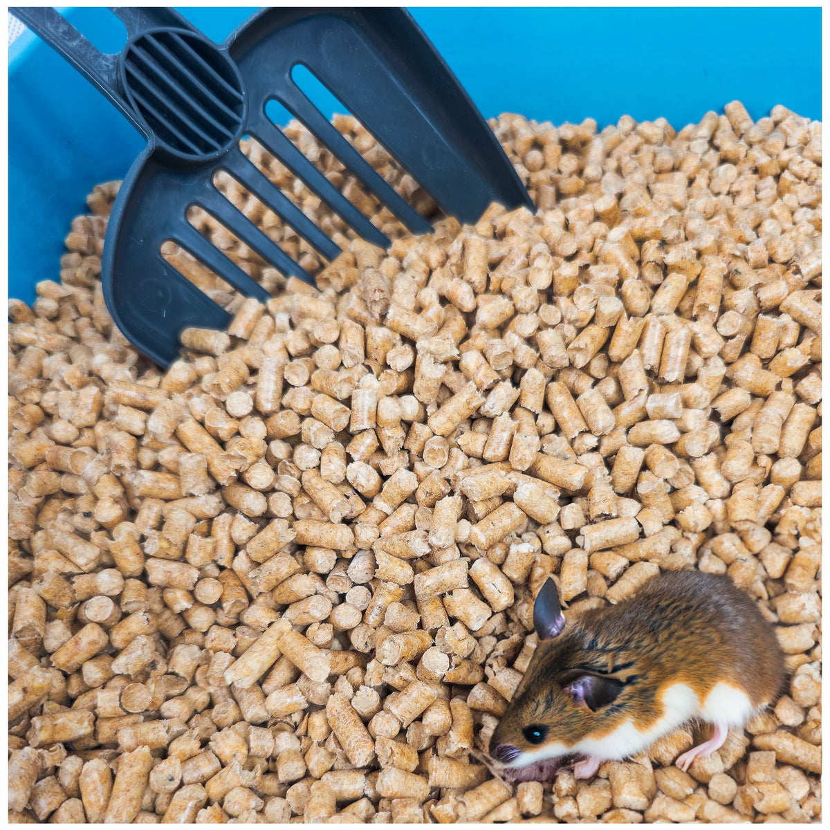ŚwiatEka Żwirek drewniany pellet 30 kg dla kota i gryzoni – drewno iglaste, 75 l