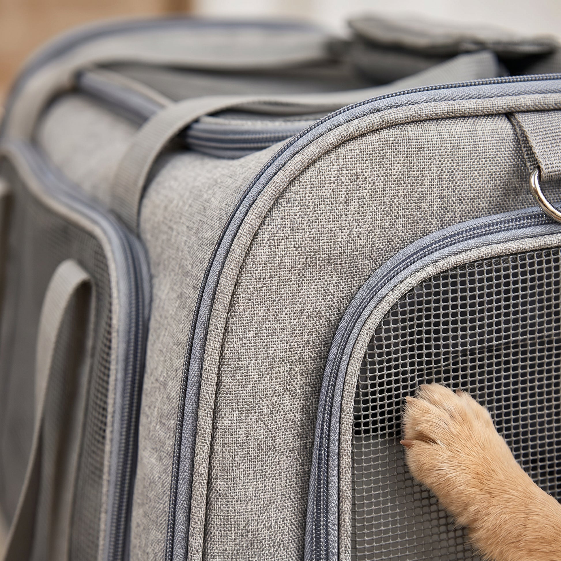Lifestyle: detal + zwierzę