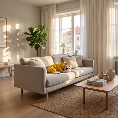 Lifestyle: wnętrze lifestyle