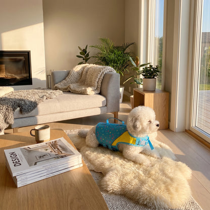 Lifestyle: wnętrze lifestyle