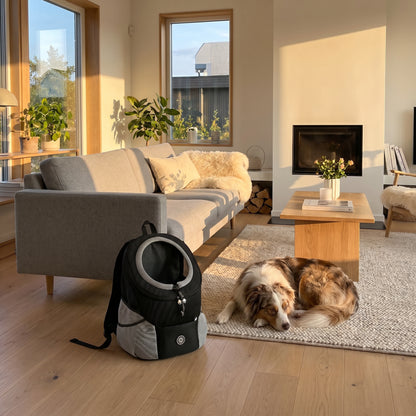 Lifestyle: wnętrze lifestyle