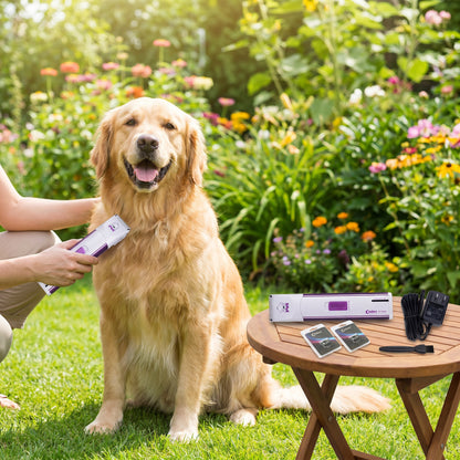 Lifestyle: outdoor