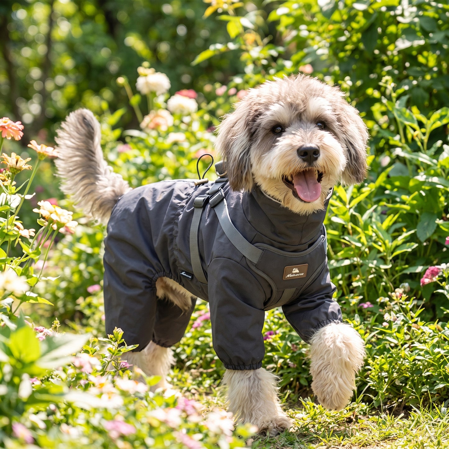 Lifestyle: outdoor