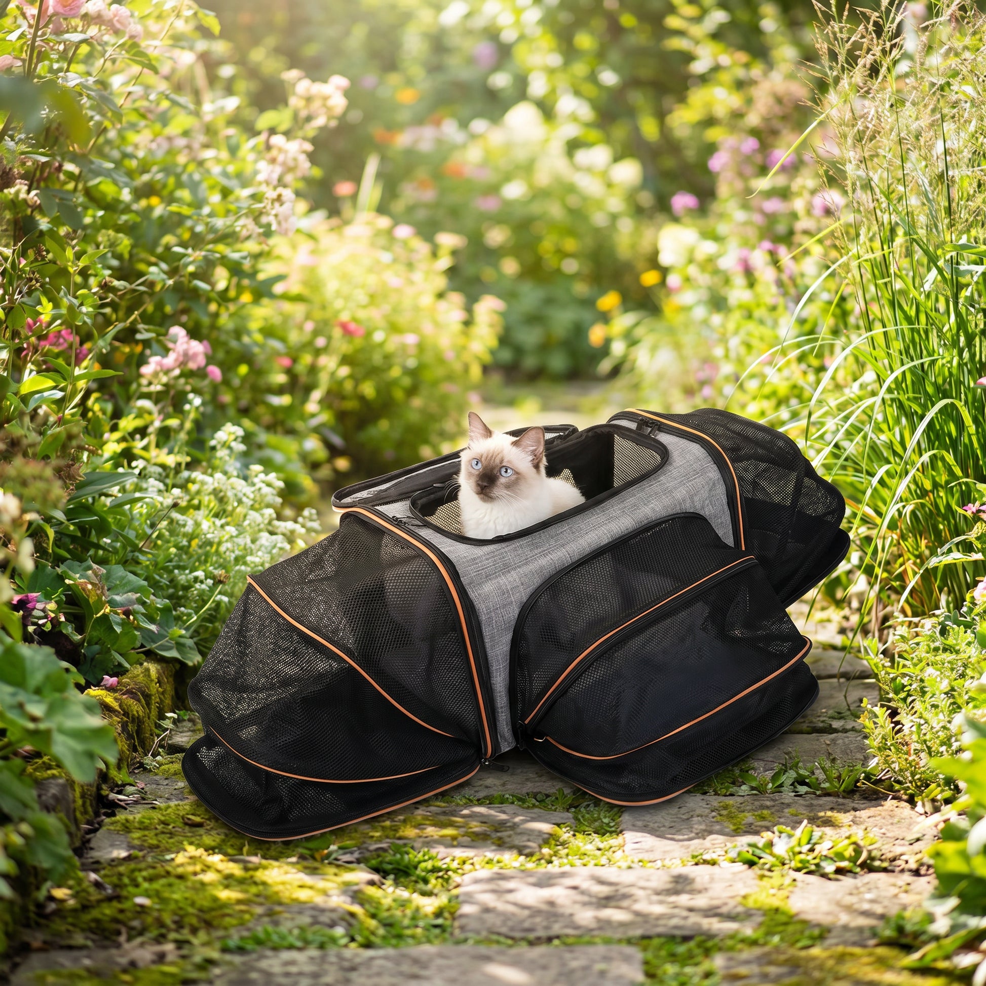 Lifestyle: outdoor