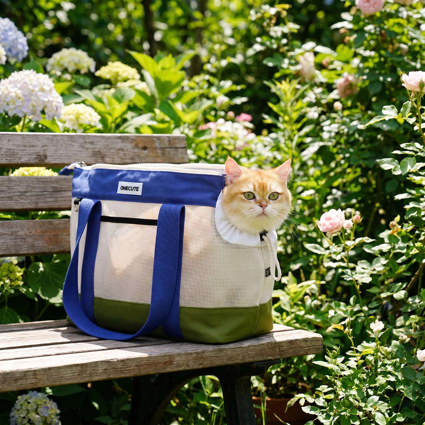 Lifestyle: outdoor