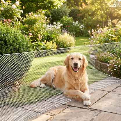Lifestyle: outdoor