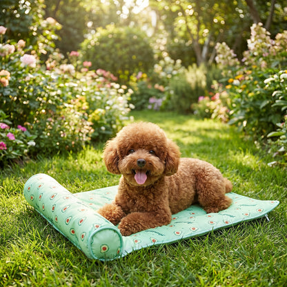 Lifestyle: outdoor