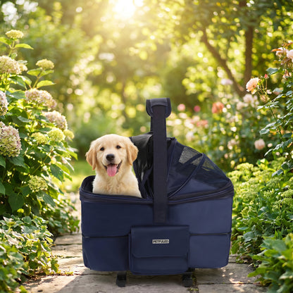 Lifestyle: outdoor
