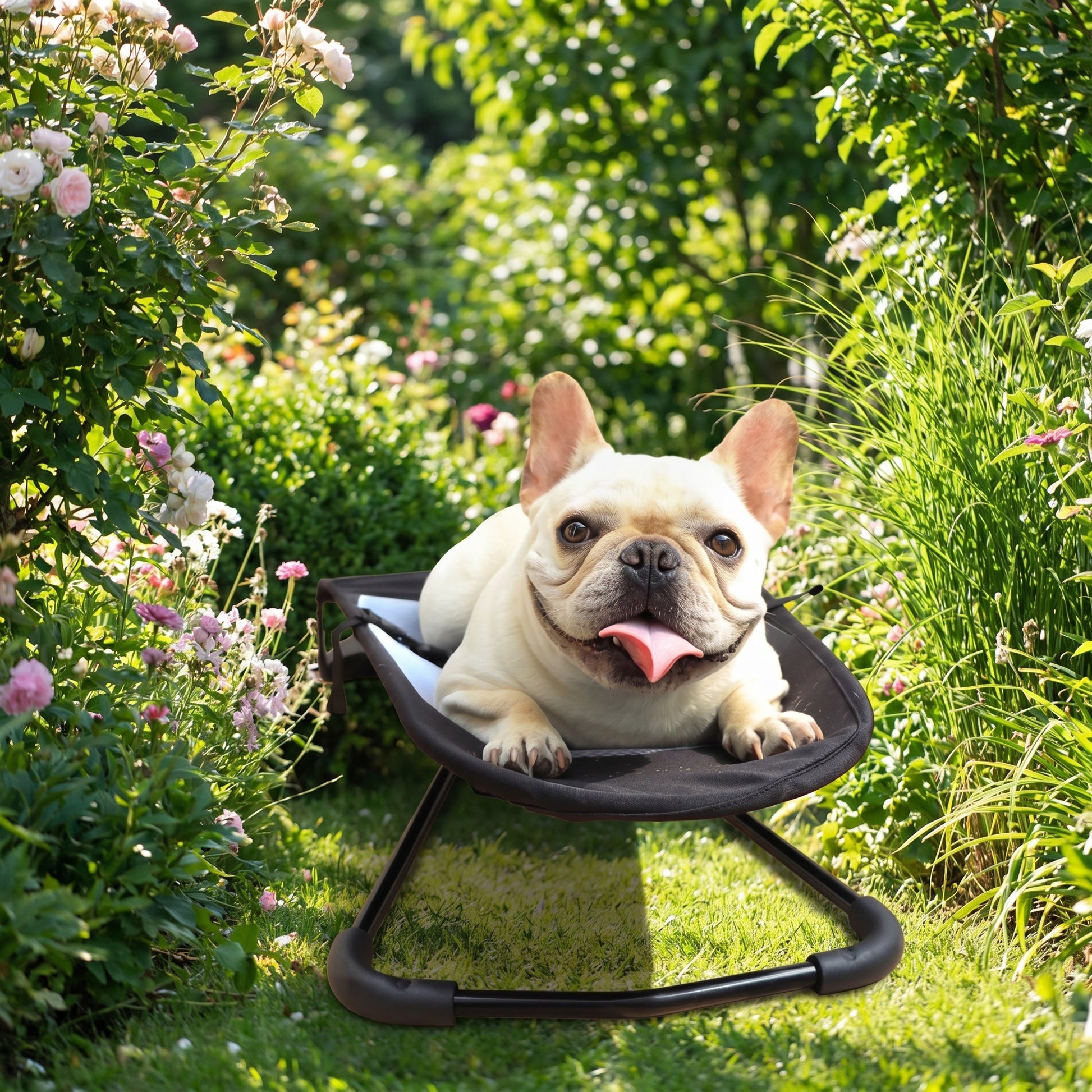 Lifestyle: outdoor