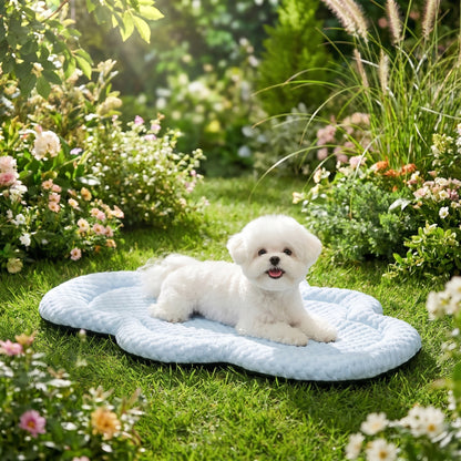 Lifestyle: outdoor