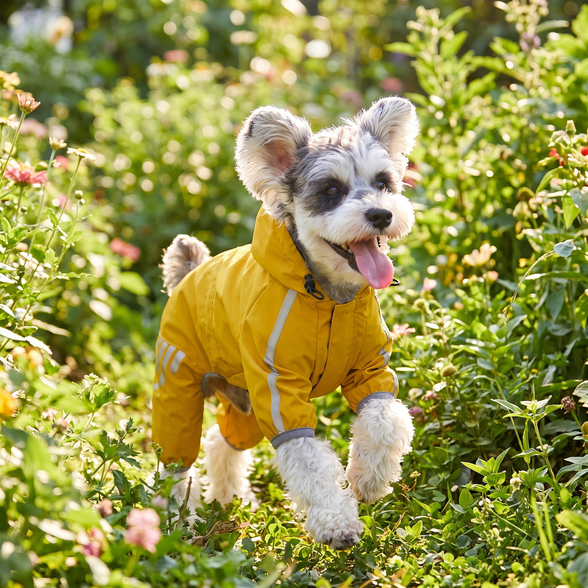 Lifestyle: outdoor