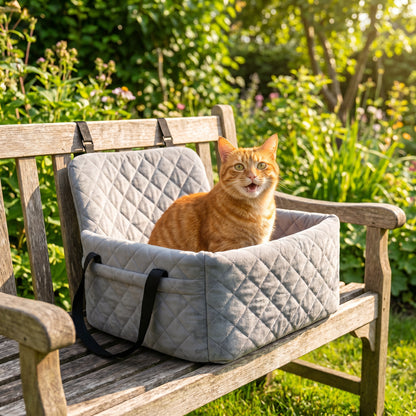 Lifestyle: outdoor
