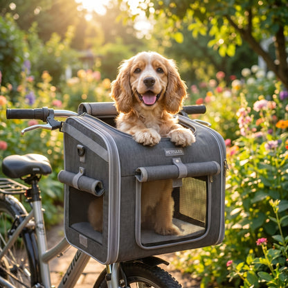 Lifestyle: outdoor