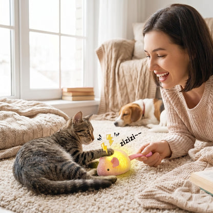 Lifestyle: właściciel + zwierzę