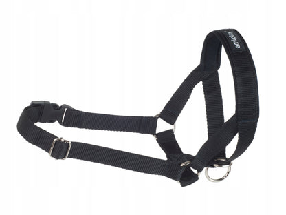 Amiplay Obroża uzdowa halter Basic M dla psa ciągnącego, taśma 2 cm – czarna