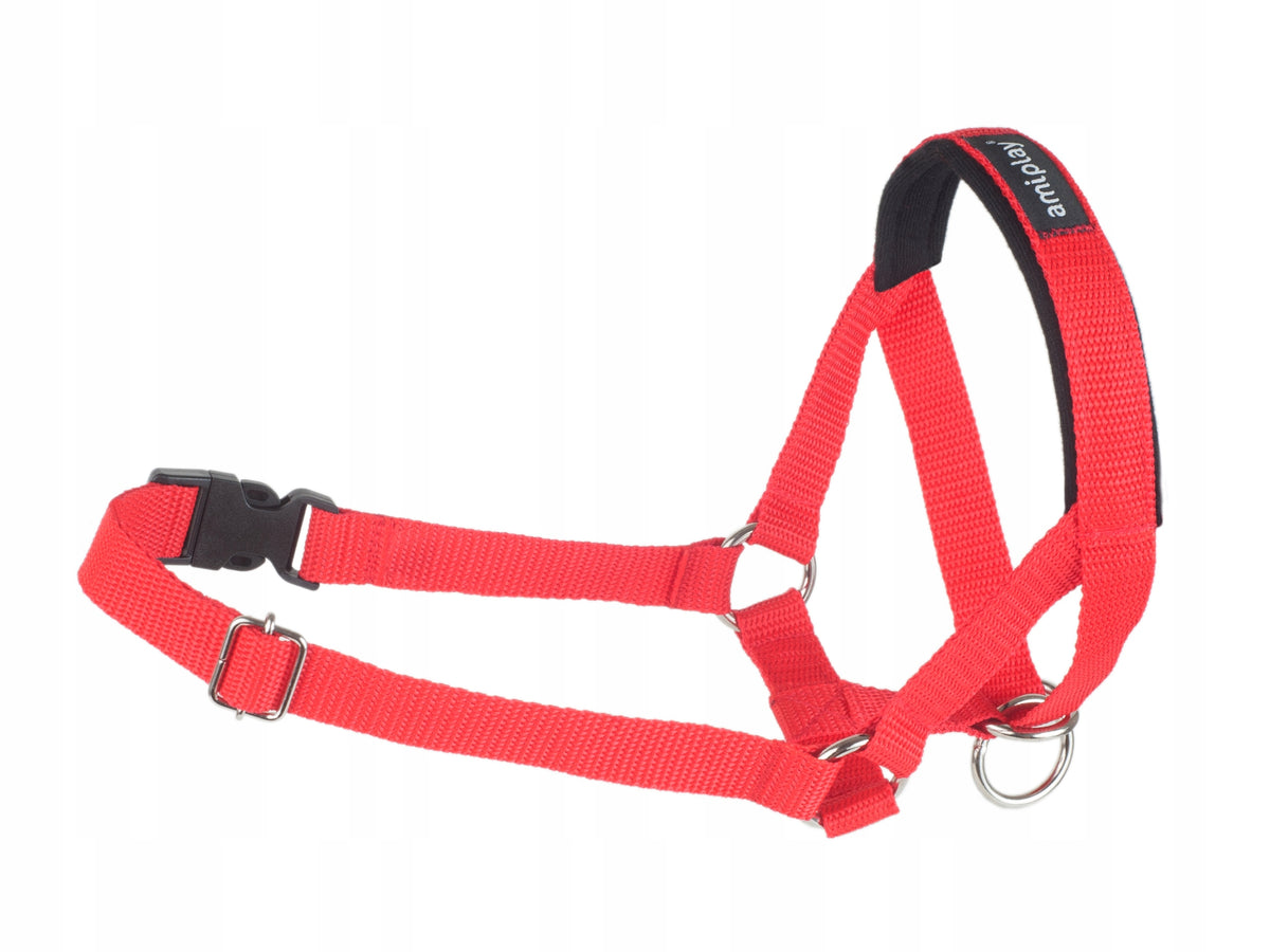 Amiplay Obroża uzdowa Halter Basic M dla psa ciągnącego na smyczy, taśma 2 cm – czerwona