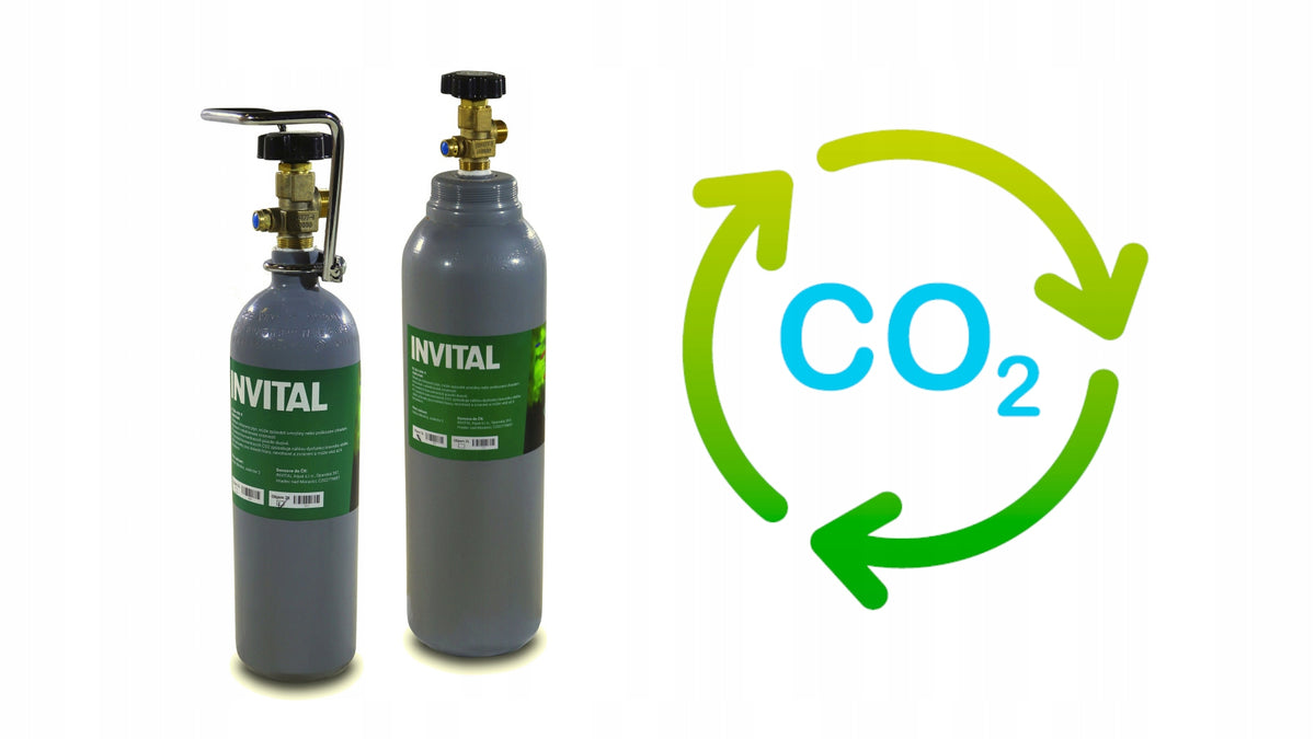 Invital Zestaw CO2 do akwarium 5 l z reduktorem, dyfuzorem i zaworem 12 V – nocne wyłączanie