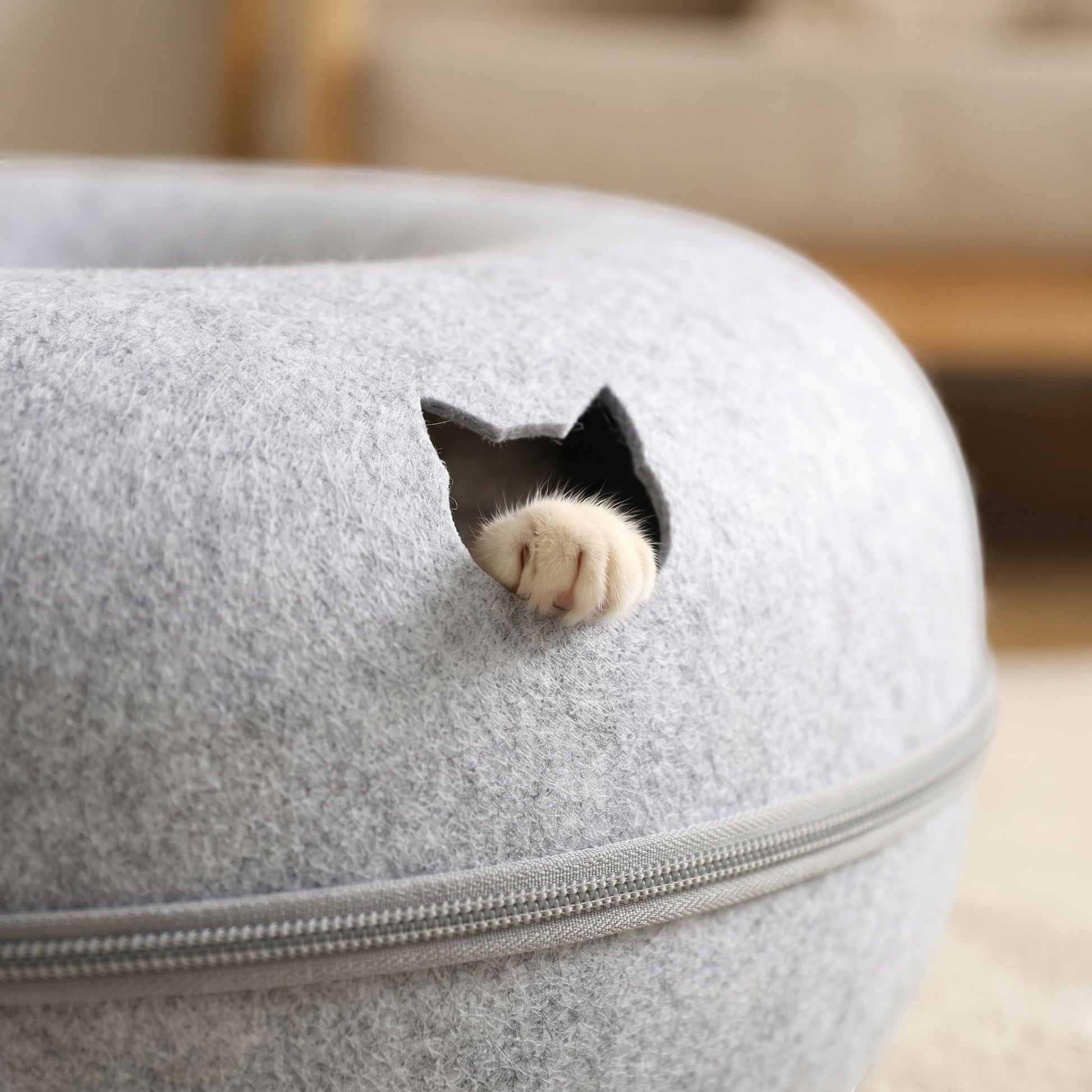Macro of vent opening on felt cat bed with cat paw, focusing on fiber texture and product’s cozy design.