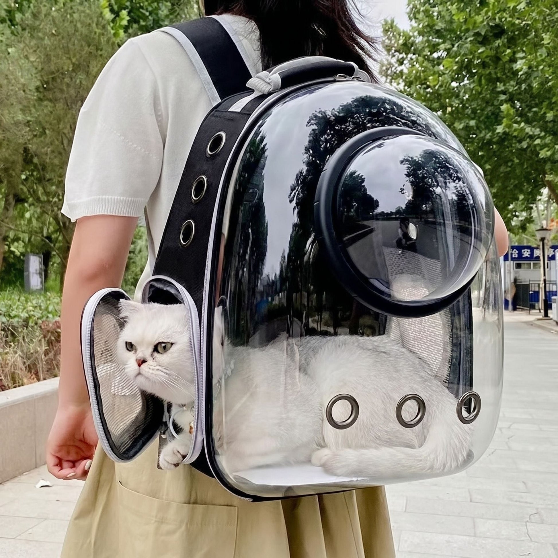 Close-up of a transparent collapsible backpack for cats, highlighting micro-texture details and secure zipper on neutral background.