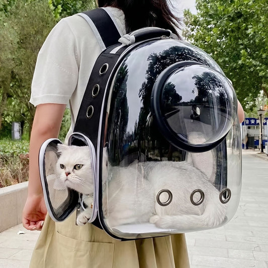 Close-up of a transparent collapsible backpack for cats, highlighting micro-texture details and secure zipper on neutral background.
