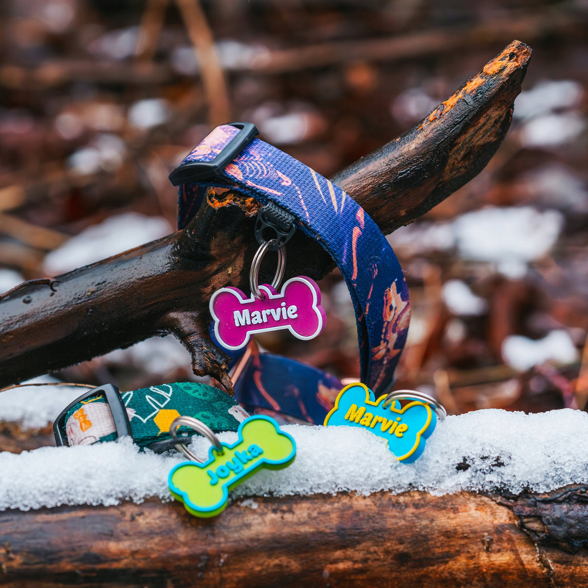 Hauki Cicha adresówka dla psa w kształcie kości z TPU na 2 numery telefonu – wielokolorowa