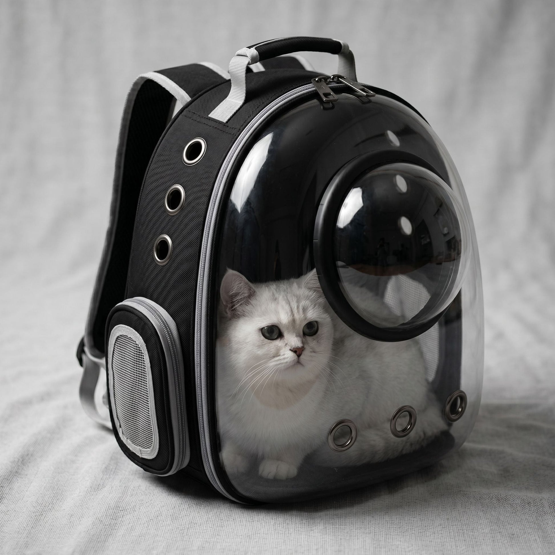 Front view of a transparent pet backpack demonstrating the zipper closure and large viewing window with micro-texture details.