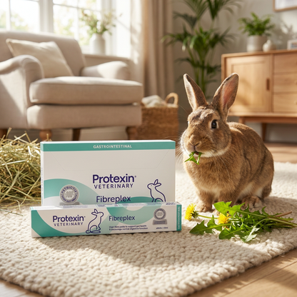 Protexin Fibreplex pasta probiotyczna dla królika 15 ml z prebiotykami – smak marchwi