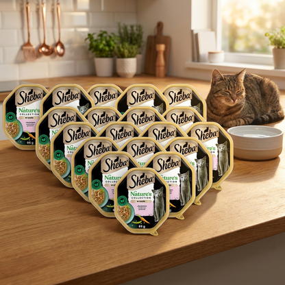 Sheba Nature's Collection mokra karma dla kota z łososiem w sosie – 22 tacki x 85 g