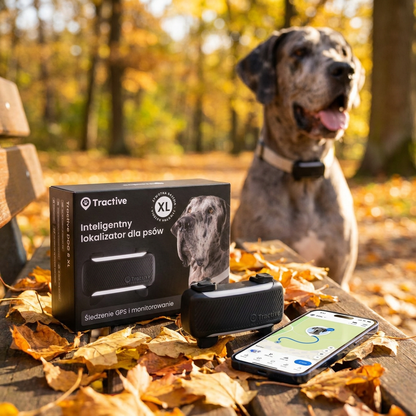 Tractive Lokalizator GPS dla psa DOG 6 XL z monitorowaniem zdrowia, powyżej 20 kg – czarny