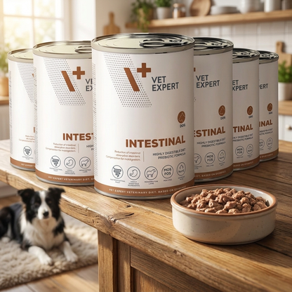 Vet Expert Intestinal karma weterynaryjna mokra dla psa, jagnięcina – 6 x 400 g