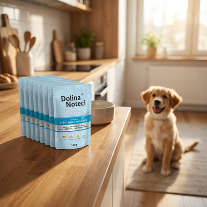 Dolina Noteci Junior mokra karma dla szczeniąt 10 x 100 g – bezzbożowa, jagnięcina