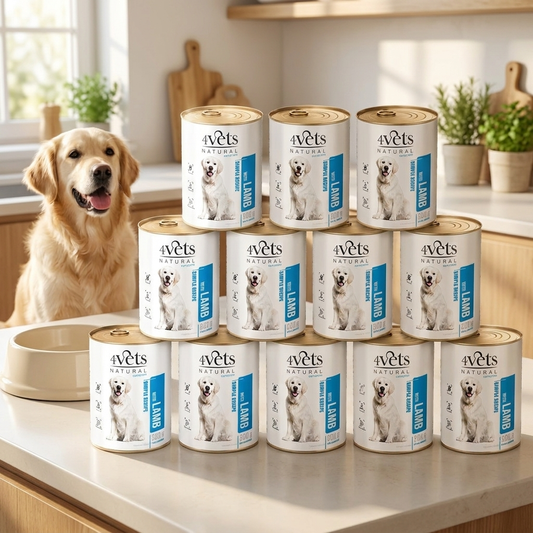 4Vets Natural mokra karma dla psa z jagnięciną 12 x 800 g – bezzbożowa, dla dorosłych