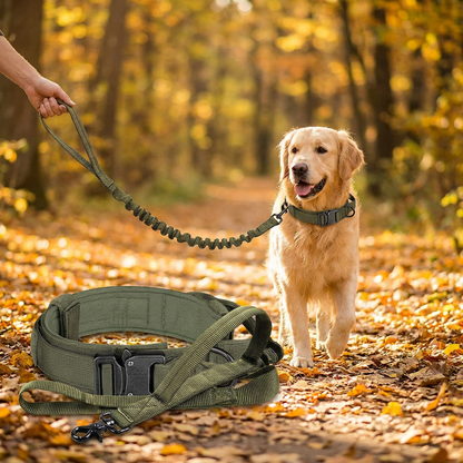DKM Obroża taktyczna dla psa ze smyczą bungee, nylon 1680D, 39-50 cm, rozmiar L – oliwkowa