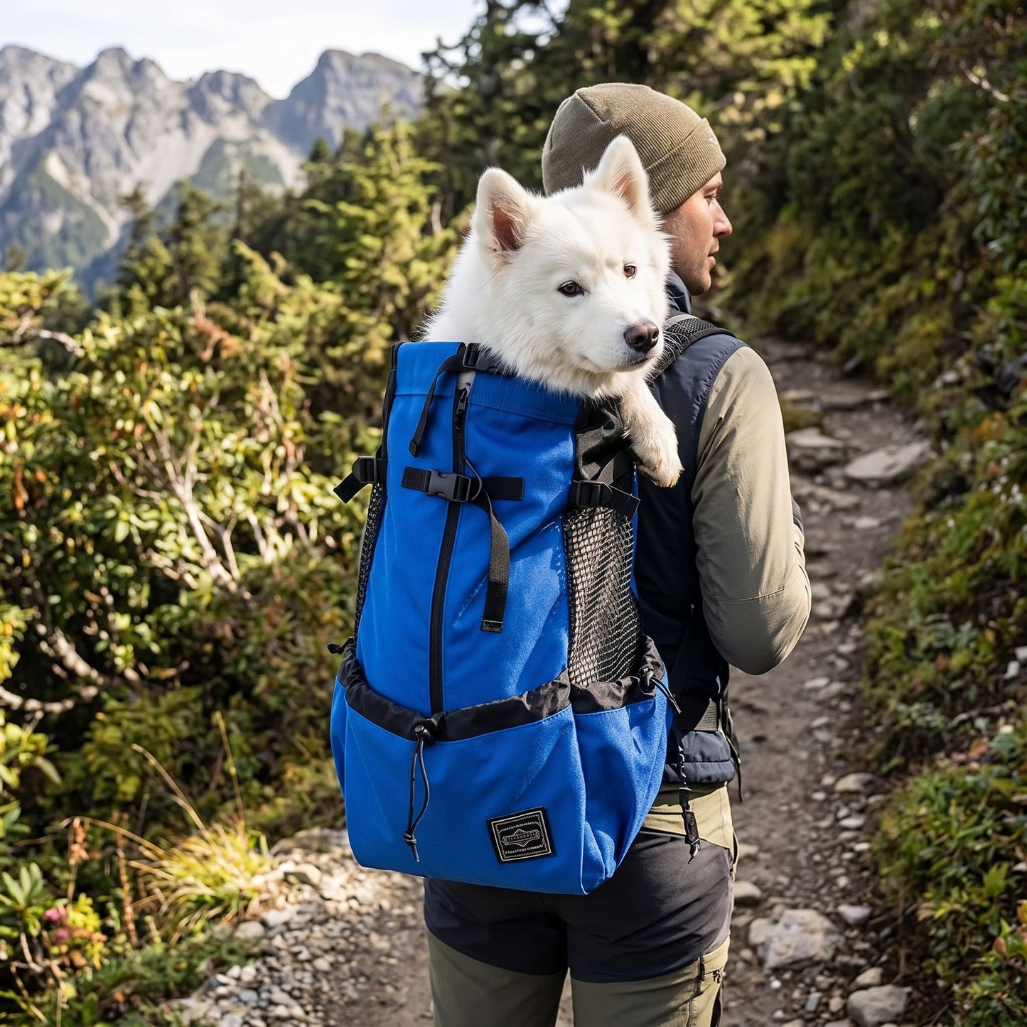 Person hiking with small dog in nylon backpack featuring ergonomic straps, sturdy design, and active outdoor lifestyle.