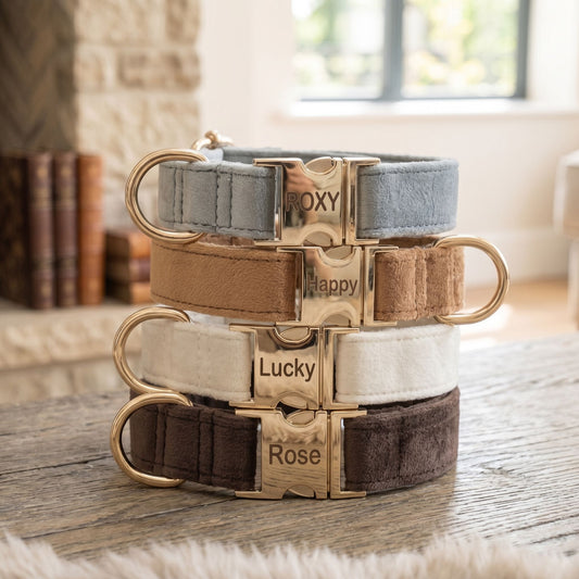 Close-up of a velvet dog collar showing its plush texture and engraved metal name tag, with soft natural lighting and blurred background.