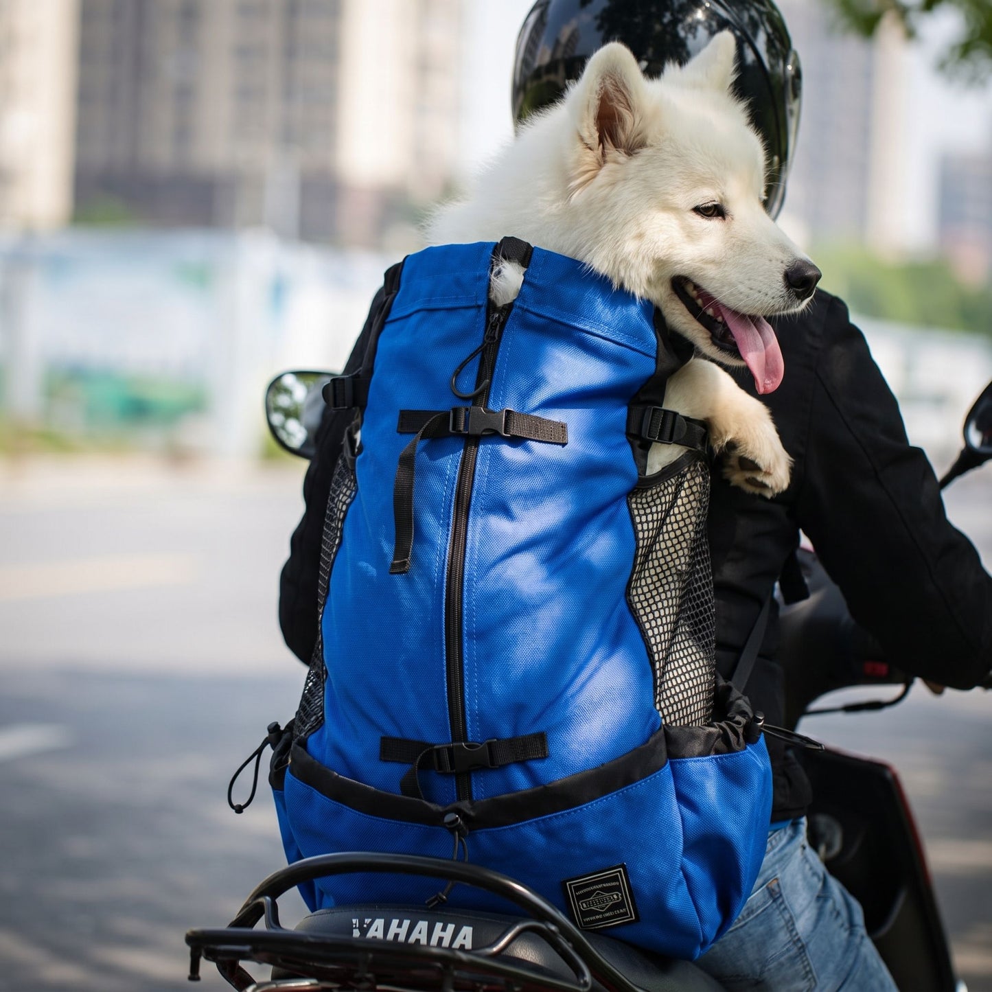 Close-up of nylon dog backpack showing textured fabric, reinforced stitching, and breathable mesh panels for ventilation.