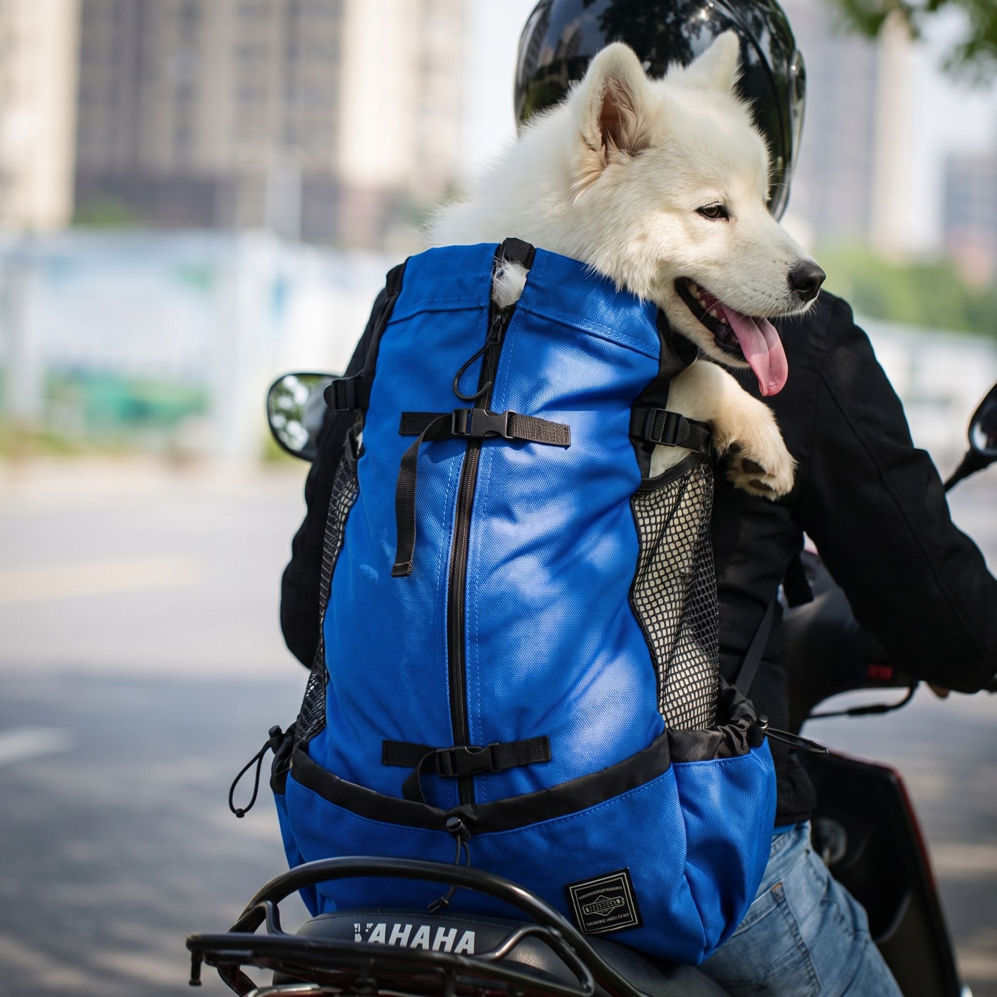 Close-up of nylon dog backpack showing textured fabric, reinforced stitching, and breathable mesh panels for ventilation.