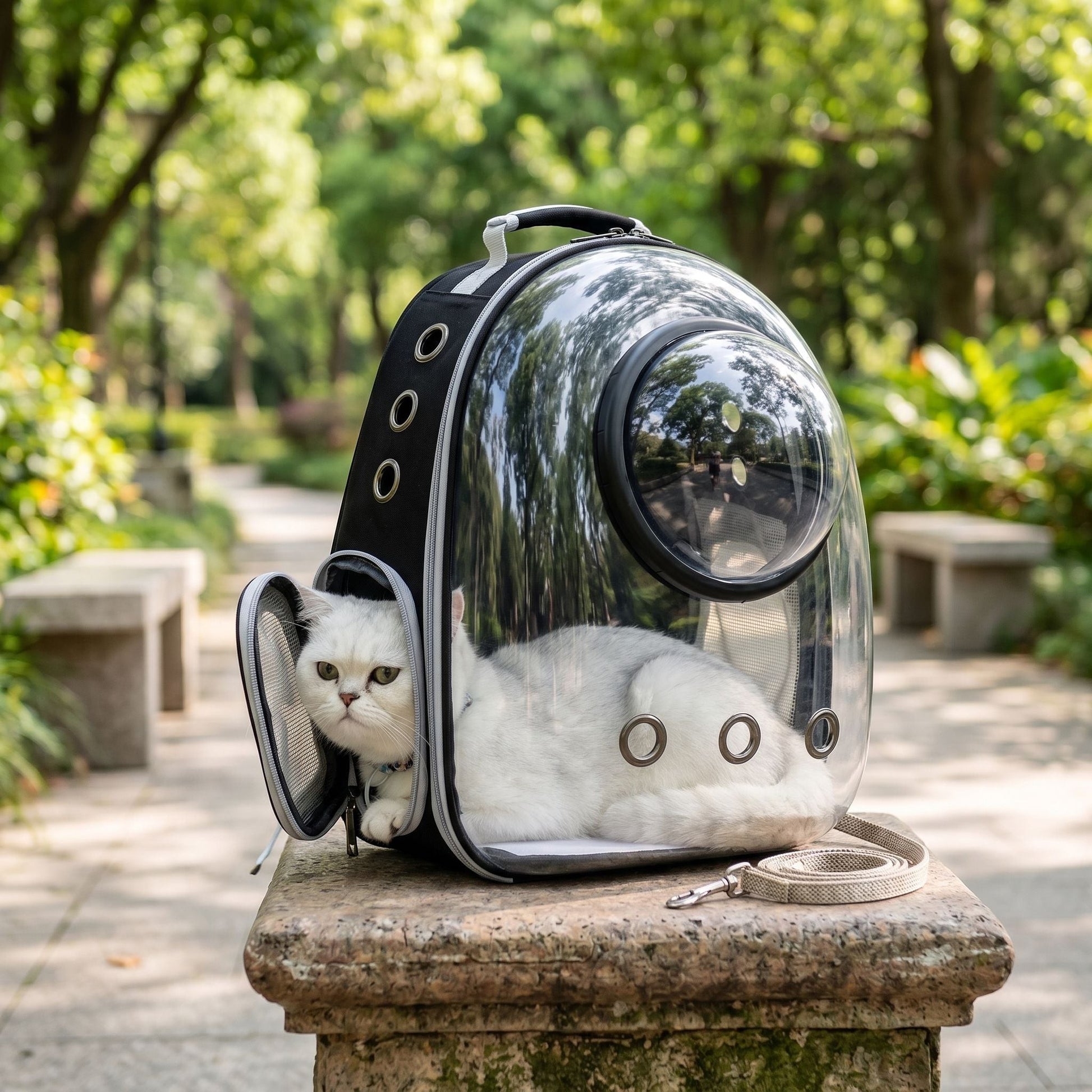 Outdoor scene with a pet nearby, showcasing a tiny transparent pet backpack's portability and lightweight profile in a park setting.
