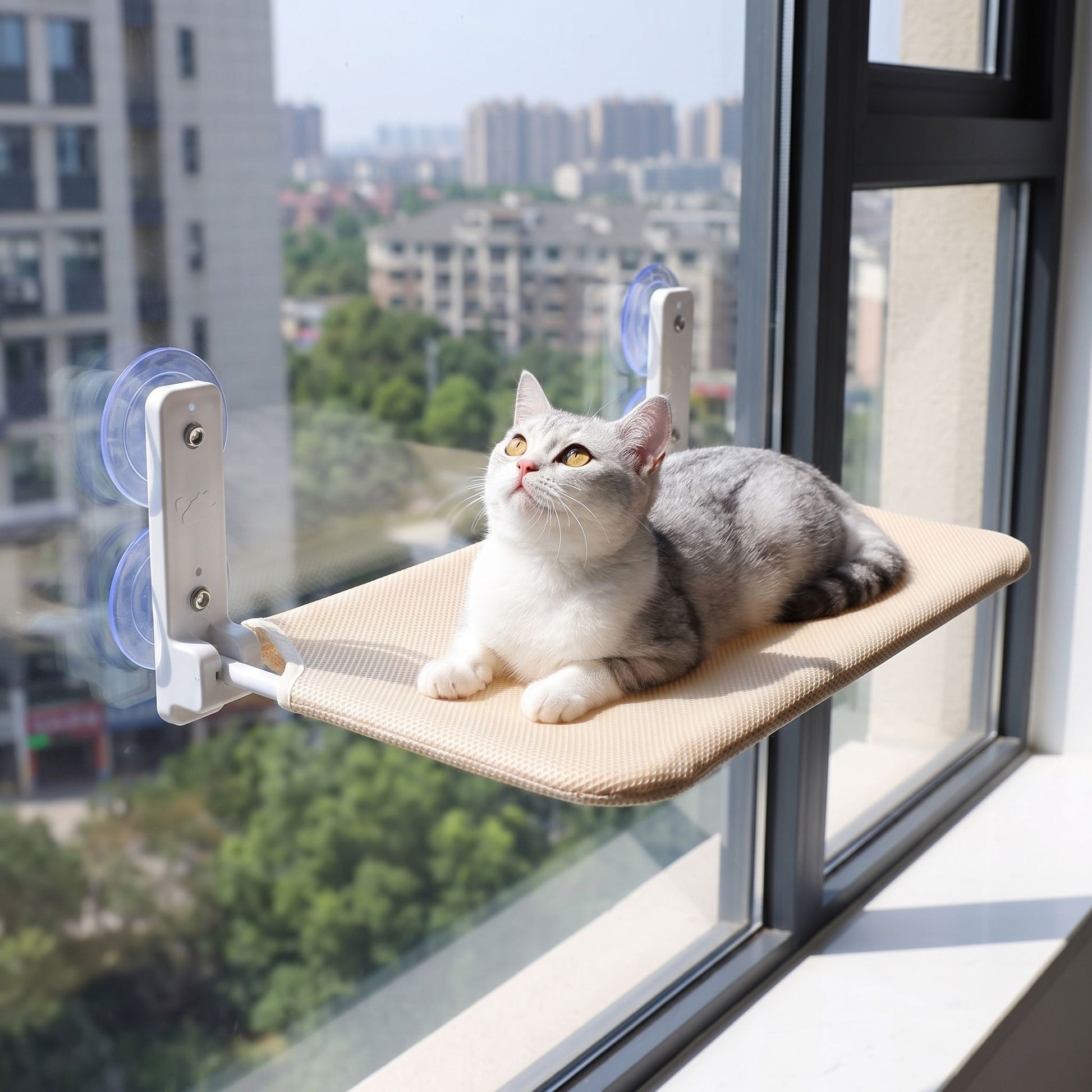 Angled shot of a foldable cat hammock emphasizing suction cups and plush fabric in a modern window setup.