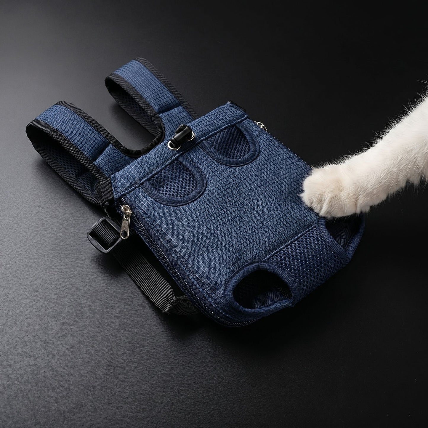 Overhead view of a foldable pet bag laid flat on a black matte surface, showcasing zipper and mesh details.