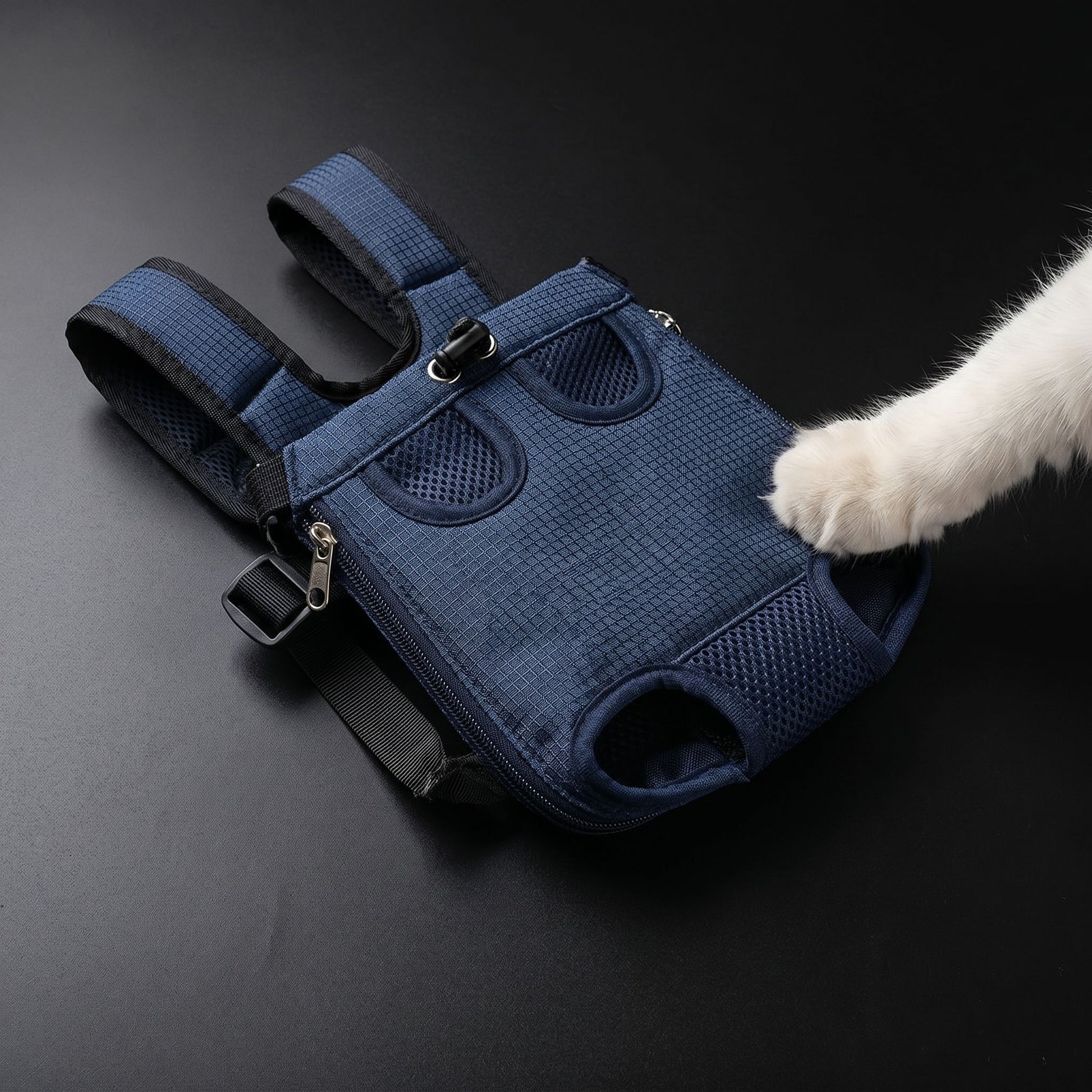 Overhead view of a foldable pet bag laid flat on a black matte surface, showcasing zipper and mesh details.