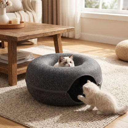 Full view of compact felt cat bed in a warm living room corner, showcasing inviting shape, fiber texture, and playful setup.