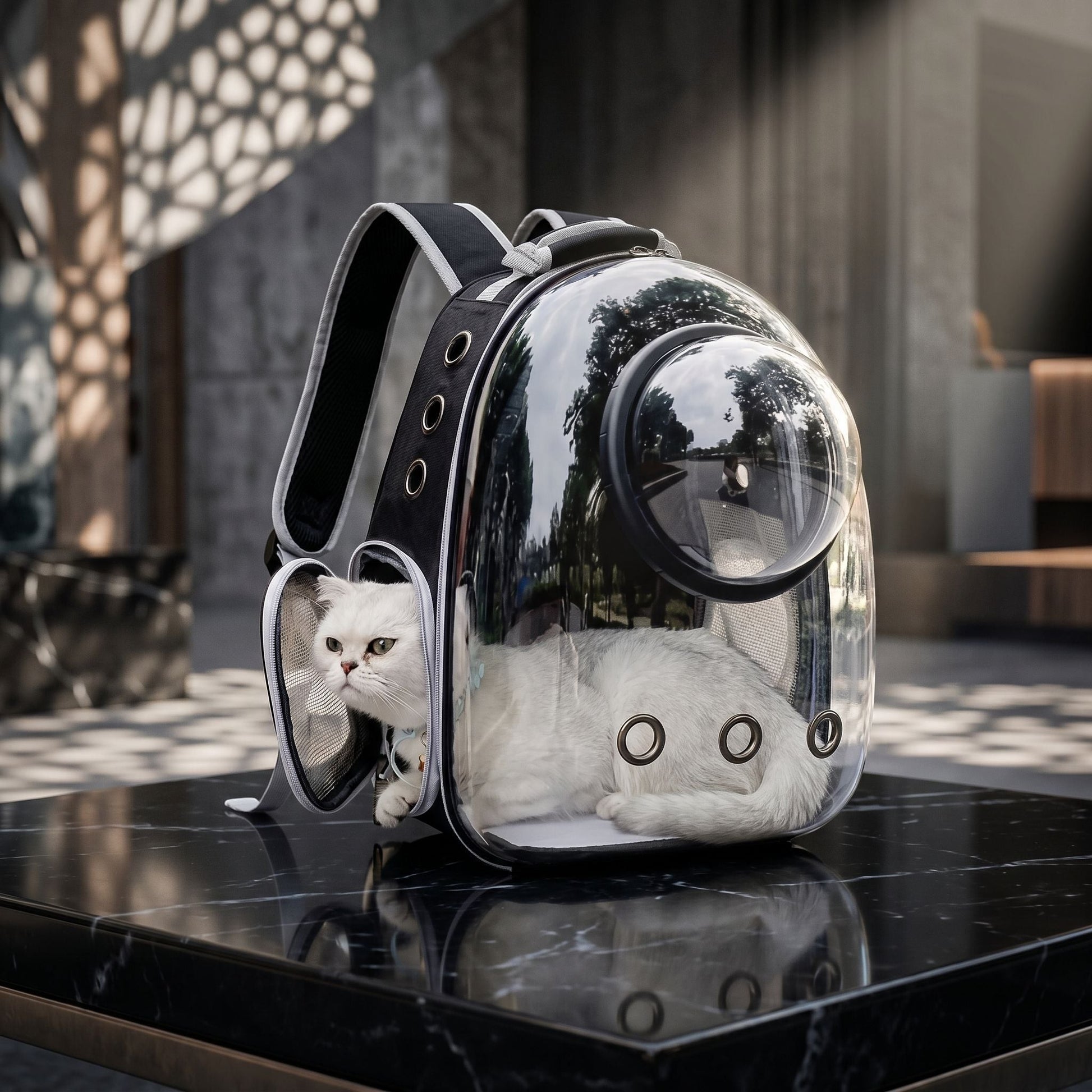 Close-up of a transparent pet carrier highlighting micro-texture, zipper system, and durability on a reflective surface.
