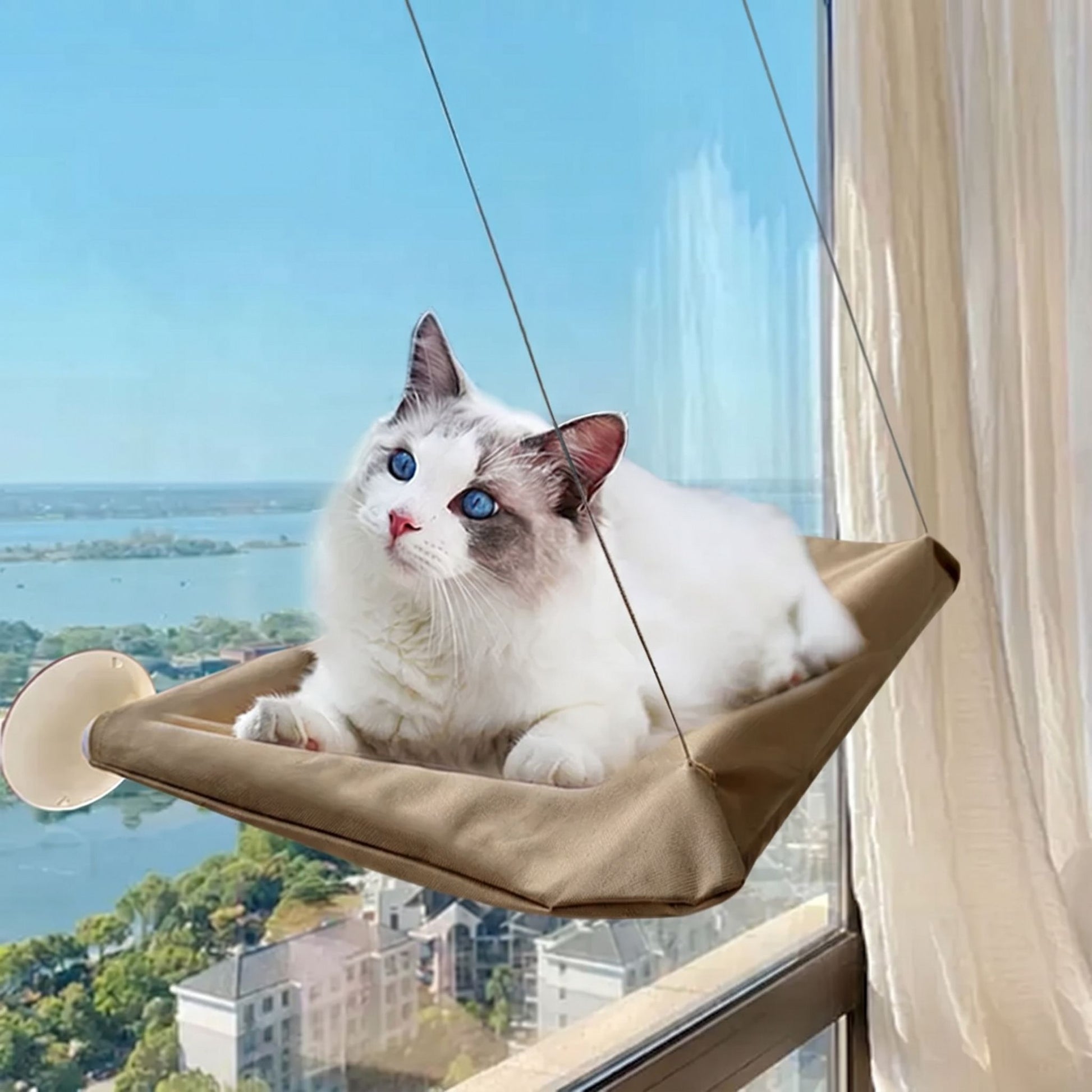 Sunlit corner with a plush foldable cat hammock at the window, featuring a relaxed cat inside and a durable plastic framework.