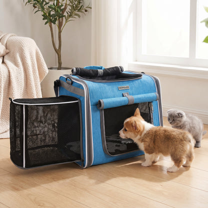 Niebieski Koszyk — hero (Niebieski Koszyk)