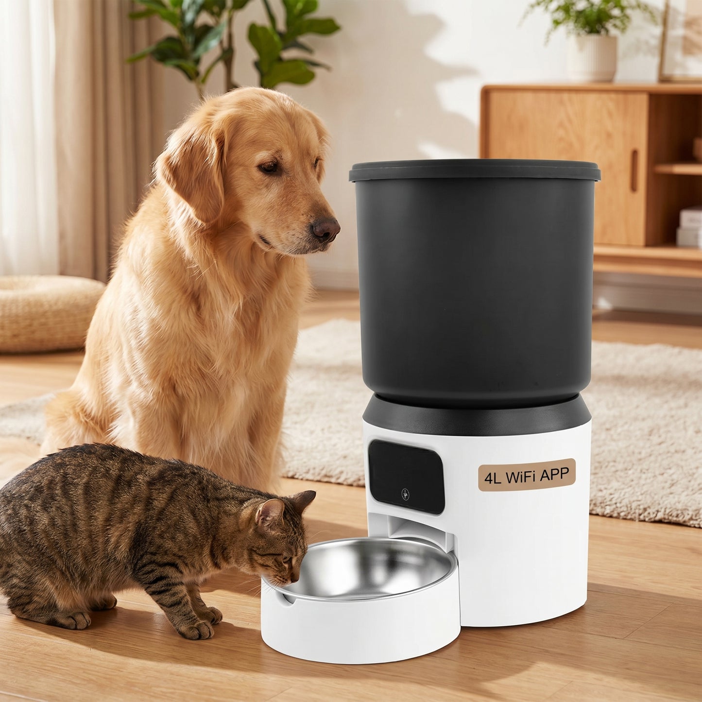 4L WIFI — hero (4L WIFI)