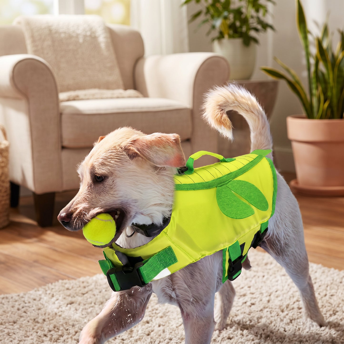 Zielony, M, China Mainland — hero (Zielony, M, China Mainland)