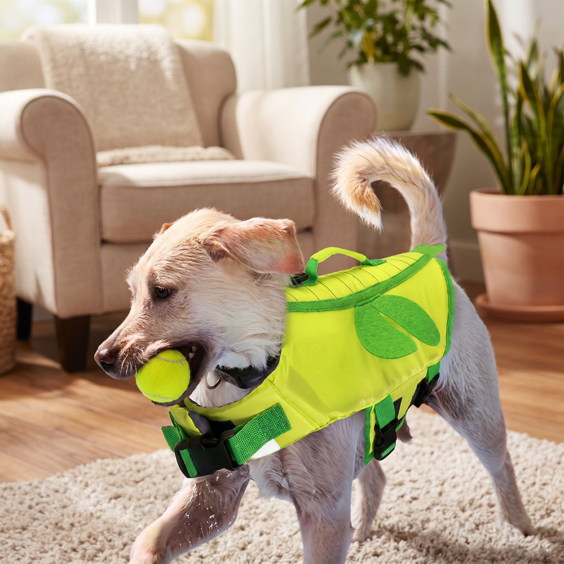 Zielony, M, China Mainland — hero (Zielony, M, China Mainland)