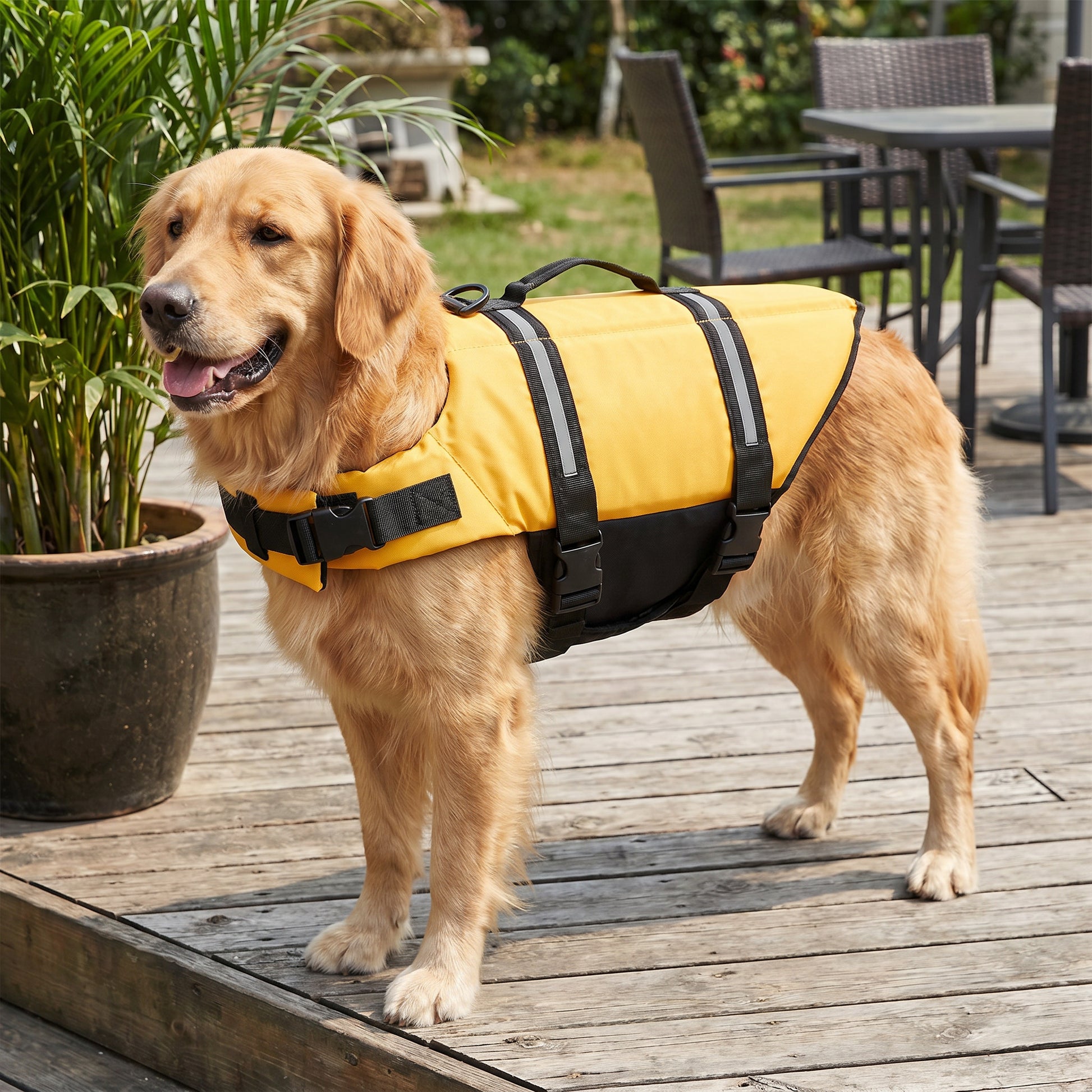 Żółty, XXS-suit 0.6-1.5kg — hero (Żółty, XXS-suit 0.6-1.5kg)