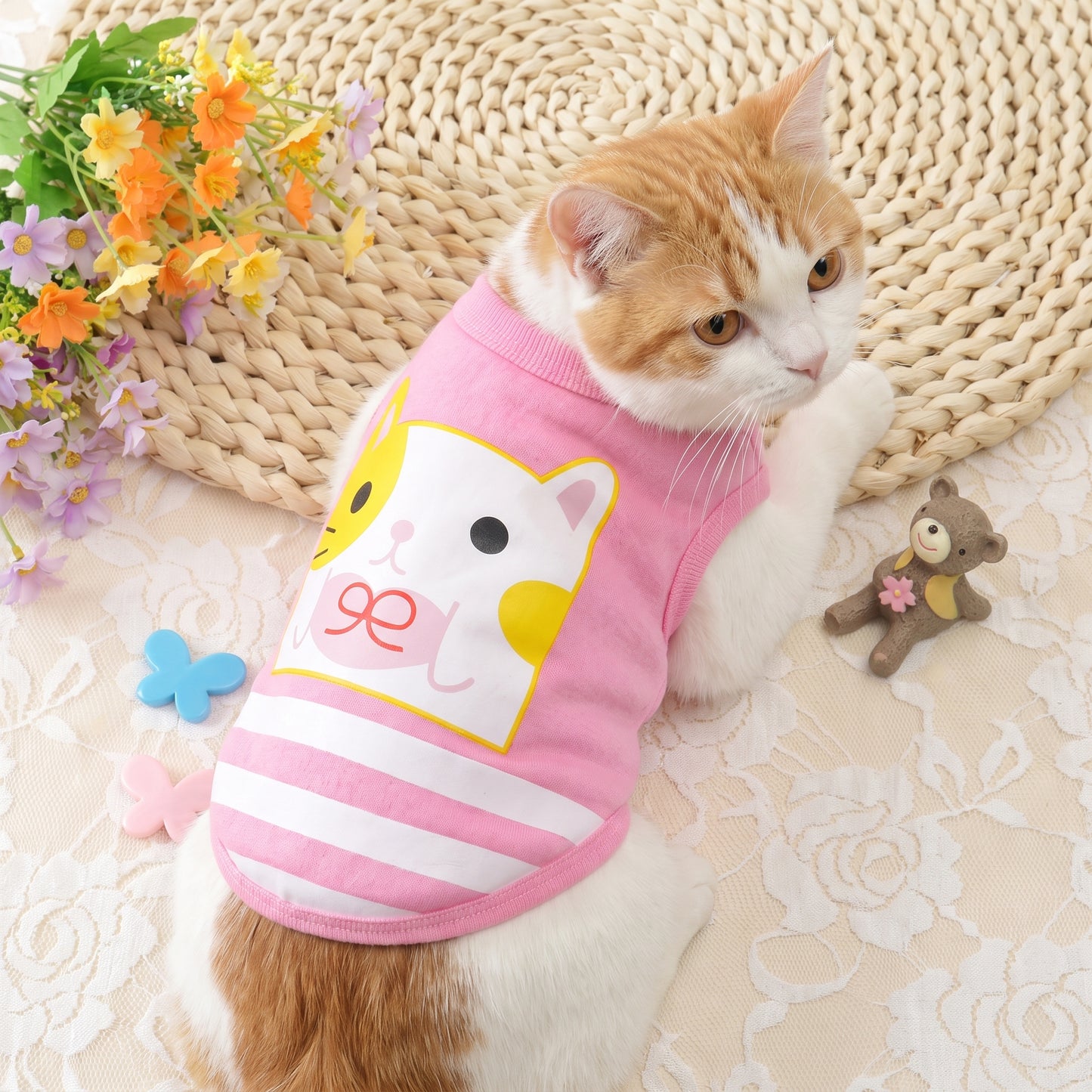 2cat — hero (2cat)